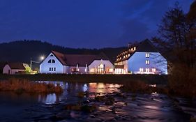 Hotel Vír